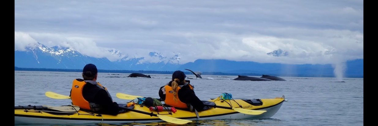 Spirit Walker Expeditions Alaska Featured